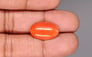 Japanese Red Coral - 8.22 Carat Rare Quality CC-5886