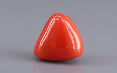Japanese Red Coral - 8.28 Carat Rare Quality TC-5437
