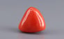 Japanese Red Coral - 8.28 Carat Rare Quality TC-5437