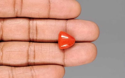 Japanese Red Coral - 8.28 Carat Rare Quality TC-5437