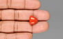 Japanese Red Coral - 8.28 Carat Rare Quality TC-5437