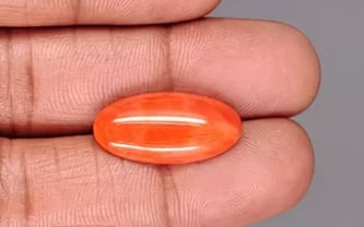 Japanese Red Coral - 9.10 Carat Rare Quality CC-5892