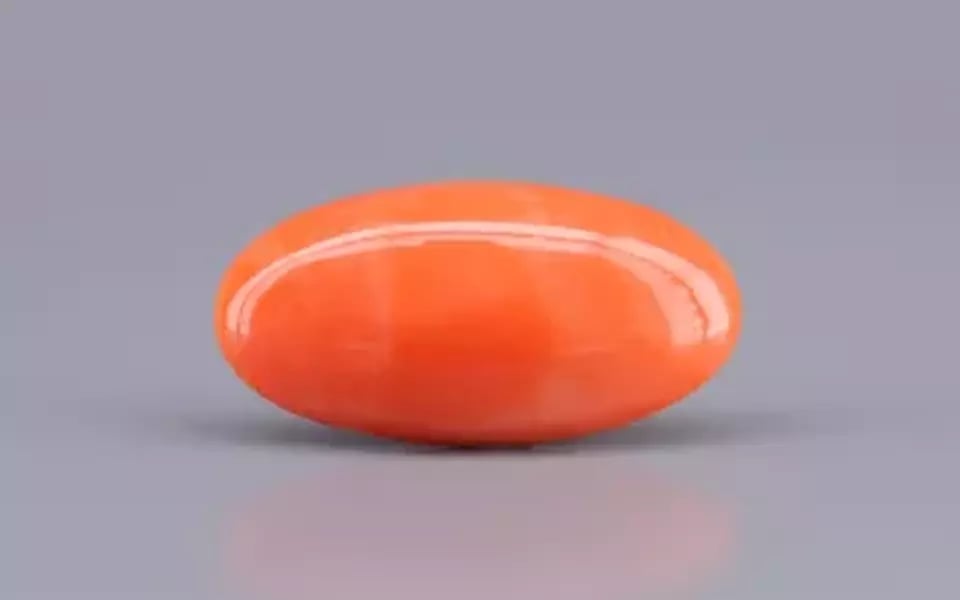Japanese Red Coral - 9.10 Carat Rare Quality CC-5892
