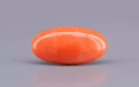 Japanese Red Coral - 9.10 Carat Rare Quality CC-5892