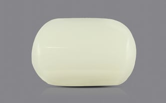 Japanese White Coral - 3.7 Carat Prime Quality WC-7507