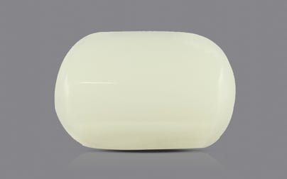 Japanese White Coral - 3.7 Carat Prime Quality WC-7507