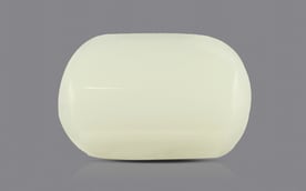 Japanese White Coral - 3.7 Carat Prime Quality WC-7507