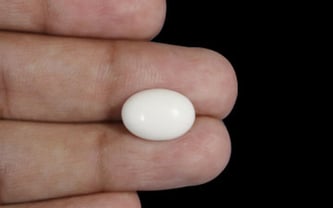 Japanese White Coral - 4.16 Carat Prime Quality WC-7514