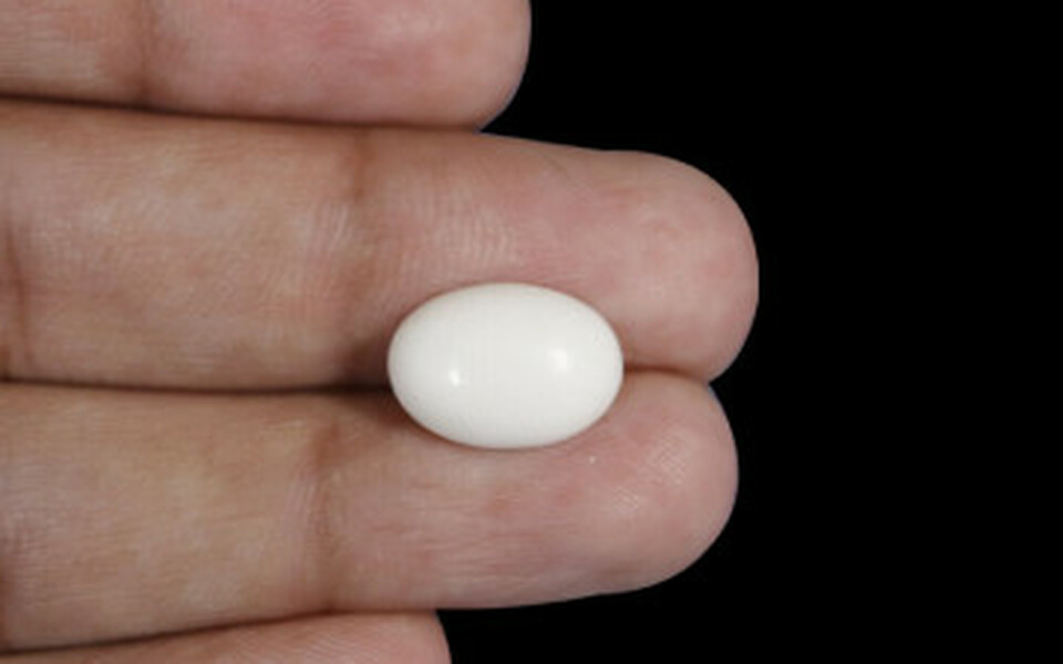 Japanese White Coral - 4.16 Carat Prime Quality WC-7514