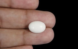 Japanese White Coral - 4.16 Carat Prime Quality WC-7514