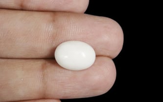 Japanese White Coral - 4.16 Carat Prime Quality WC-7523