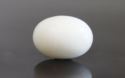 Japanese White Coral - 4.16 Carat Prime Quality WC-7523