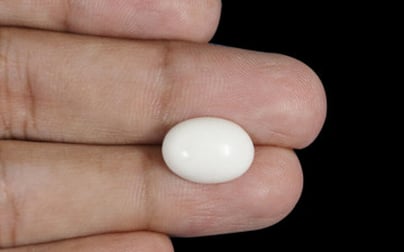 Japanese White Coral - 4.22 Carat Prime Quality WC-7520