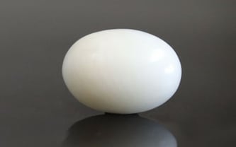 Japanese White Coral - 4.3 Carat Prime Quality WC-7522