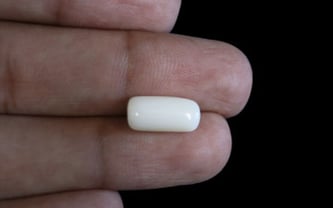 Japanese White Coral - 4.31 Carat Prime Quality WC-7505