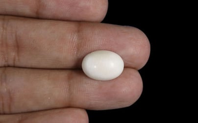 Japanese White Coral - 4.32 Carat Prime Quality WC-7521