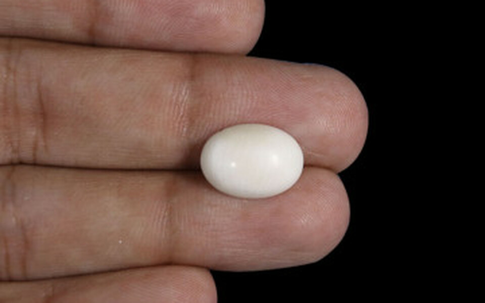 Japanese White Coral - 4.32 Carat Prime Quality WC-7521