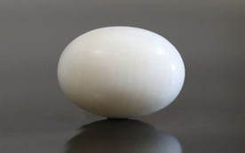 Japanese White Coral - 4.32 Carat Prime Quality WC-7521