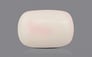 Japanese White Coral - 8.15 Carat Prime Quality WC-7504