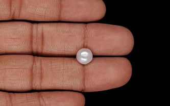 Keshi Pearl - 1.91 Carat Prime Quality SSP-9021