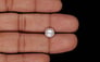 Keshi Pearl - 1.91 Carat Prime Quality SSP-9021