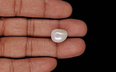 Keshi Pearl - 11.29 Carat Limited Quality SSP-8967