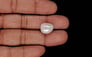 Keshi Pearl - 11.29 Carat Limited Quality SSP-8967