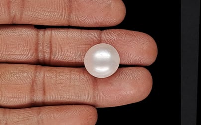 Keshi Pearl - 15.28 Carat Limited Quality SSP-8916