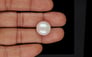 Keshi Pearl - 15.51 Carat Limited Quality SSP-8917