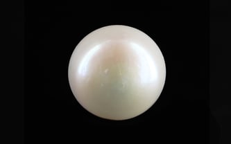 Keshi Pearl - 15.51 Carat Limited Quality SSP-8917