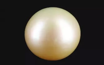 Keshi Pearl - 15.68 Carat Limited Quality SSP-8914