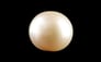 Keshi Pearl - 16.06 Carat Limited Quality SSP-9054