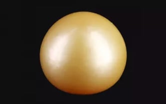 Keshi Pearl - 17.16 Carat Limited Quality SSP-8913