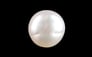 Keshi Pearl - 2.00 Carat Prime Quality SSP-9026