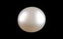Keshi Pearl - 2.20 Carat Limited Quality SSP-9011