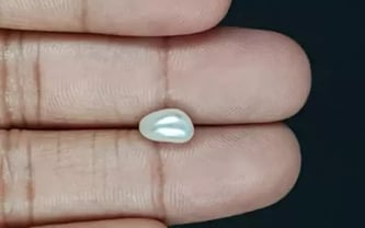 Keshi Pearl - 2.21 Carat Prime Quality SSP-8791