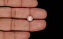 Keshi Pearl - 2.34 Carat Limited Quality SSP-9032