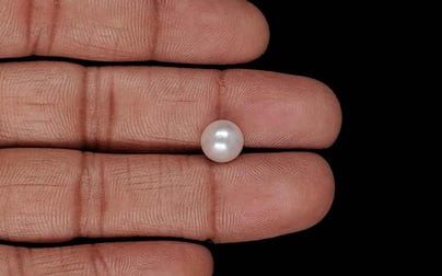 Keshi Pearl - 2.39 Carat Prime Quality SSP-8995