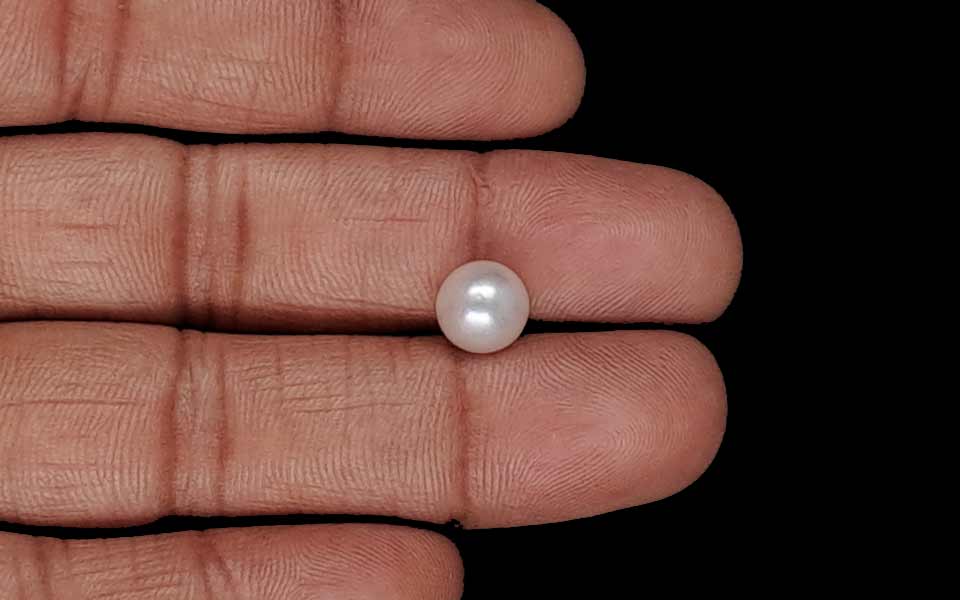 Keshi Pearl - 2.39 Carat Prime Quality SSP-8995