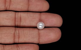 Keshi Pearl - 2.39 Carat Prime Quality SSP-8995