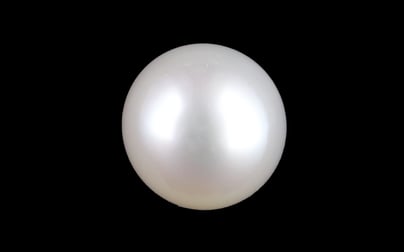 Keshi Pearl - 2.39 Carat Prime Quality SSP-8995