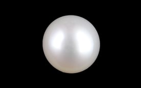Keshi Pearl - 2.39 Carat Prime Quality SSP-8995