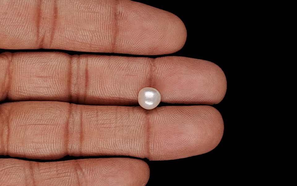 Keshi Pearl - 2.40 Carat Prime Quality SSP-9012