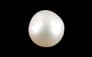 Keshi Pearl - 2.40 Carat Prime Quality SSP-9012