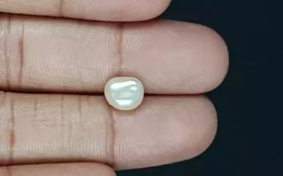 Keshi Pearl - 2.57 Carat Prime Quality SSP-8787
