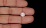 Keshi Pearl - 2.60 Carat Limited Quality SSP-8999