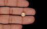 Keshi Pearl - 2.66 Carat Limited Quality SSP-9009