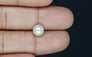 Keshi Pearl - 2.75 Carat Prime Quality SSP-8757