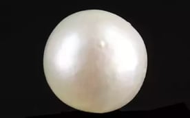 Keshi Pearl - 2.75 Carat Prime Quality SSP-8757