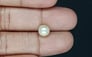 Keshi Pearl - 2.79 Carat Prime Quality SSP-8749